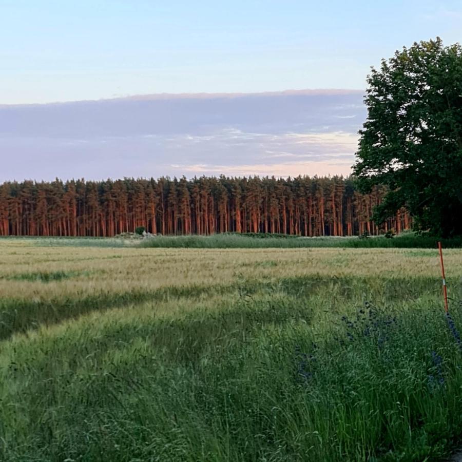 Ferienwohnung Vanneberga Gamla Skola Fjälkinge Exterior foto